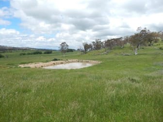 Lot 22 Bugtown Road Adaminaby NSW 2629 - Image 2