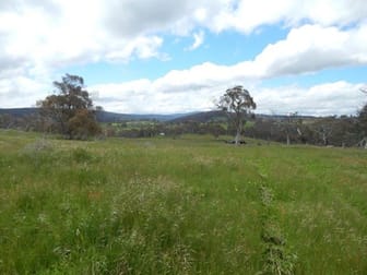 Lot 22 Bugtown Road Adaminaby NSW 2629 - Image 3
