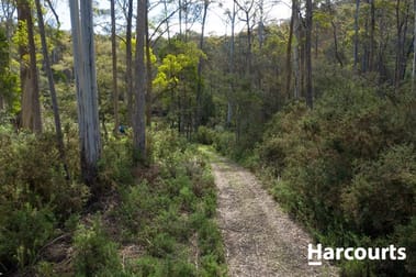 Lot 3 Mole Creek Road Needles TAS 7304 - Image 3