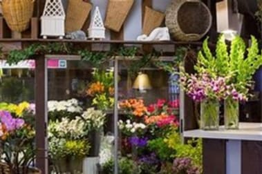 Click to view all images Shop & Retail business for sale in Joondalup & Surrounds WA - Image 1