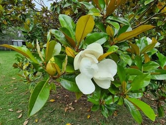 Click to view all images 170 Colo Road Colo Vale NSW 2575 - Image 3