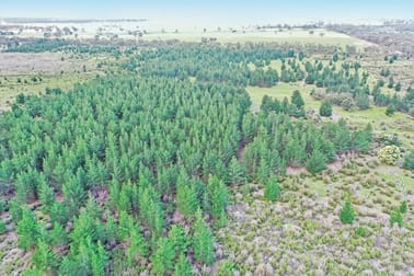 3 Carrs Creek Road Longford VIC 3851 - Image 3