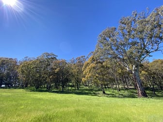 1696 Abercrombie Road Black Springs NSW 2787 - Image 2