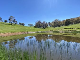 1696 Abercrombie Road Black Springs NSW 2787 - Image 3