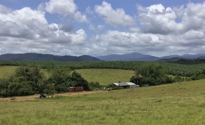 Lot 9 Innisfail Japoon Road Camp Creek QLD 4871 - Image 1