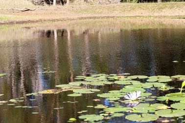 1221B Paddys Flat Road Tabulam NSW 2469 - Image 3