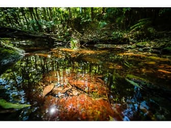 9/1169 Darkwood Road Thora NSW 2454 - Image 2