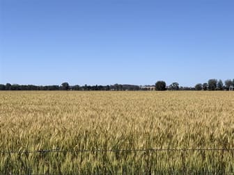 'Linwood' Kardinia Road Corowa NSW 2646 - Image 1