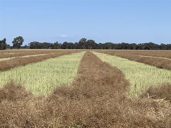 'Linwood' Kardinia Road Corowa NSW 2646 - Image 3