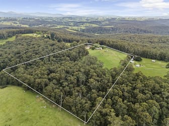 630 McDougal Road Neerim South VIC 3831 - Image 2
