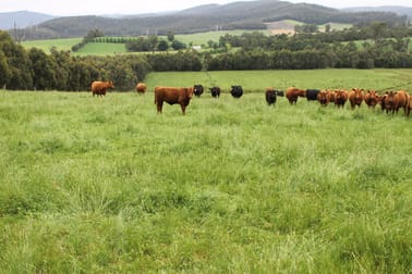 Click to view all images 110 Forest Road Labertouche VIC 3816 - Image 1