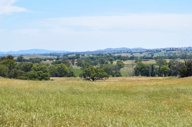 1430 Wargeila Road Yass NSW 2582 - Image 3