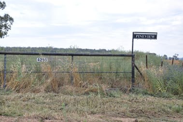 4255 Neilrex Road Neilrex NSW 2831 - Image 1