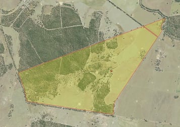 4255 Neilrex Road Neilrex NSW 2831 - Image 2