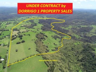 308-478 Paddys Plains Road North Dorrigo NSW 2453 - Image 1