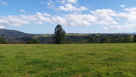 308-478 Paddys Plains Road North Dorrigo NSW 2453 - Image 3