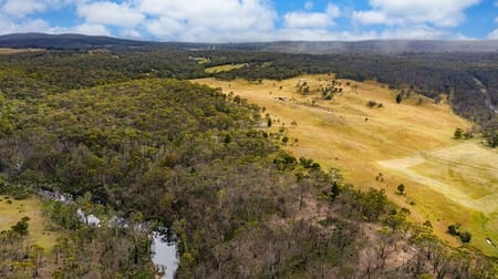 7164 Nerriga Road Oallen NSW 2622 - Image 3