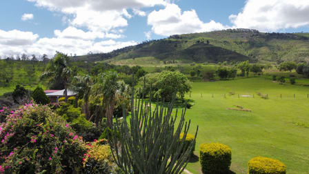 987 Gatton Clifton Road Ma Ma Creek QLD 4347 - Image 3