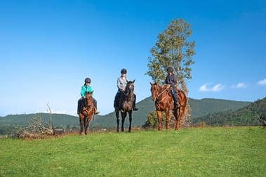 Click to view all images 1798 Gresford Road Torryburn NSW 2421 - Image 2