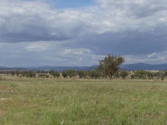 2363 Oxley Hwy Tamworth NSW 2340 - Image 1