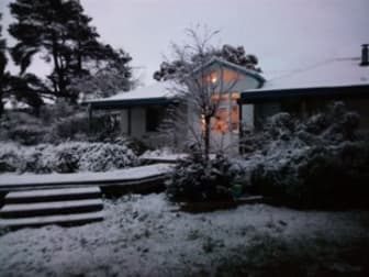 "Pine Cottage" 369 Collins Rd, Numeralla Cooma NSW 2630 - Image 3