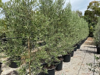 Wholesale  business for sale in VIC - Image 2