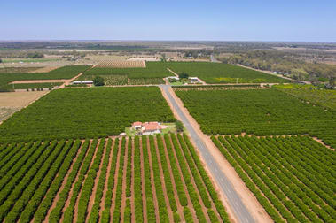 310 Delta Road Curlwaa NSW 2648 - Image 1