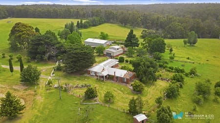 508 Casey Creek Road Toorloo Arm VIC 3909 - Image 1