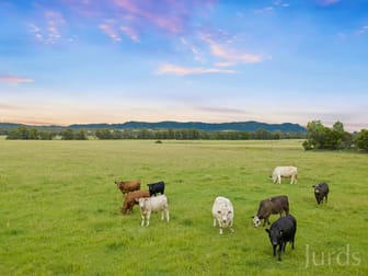 437 Talga Road Lovedale NSW 2325 - Image 3