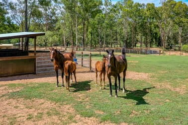 41 Ironbark Road Tamborine QLD 4270 - Image 3