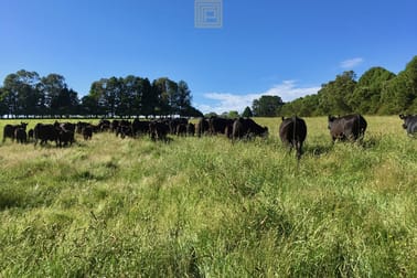 Click to view all images "Fernleigh" 1376 Tops Road Nowendoc NSW 2354 - Image 1