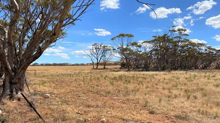 Click to view all images Section 443 Sanderston SA 5237 - Image 2