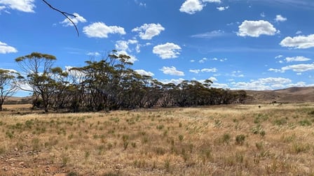 Click to view all images Section 443 Sanderston SA 5237 - Image 3