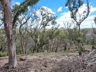 102 Jacquet Road, Tomboye Braidwood NSW 2622 - Image 3