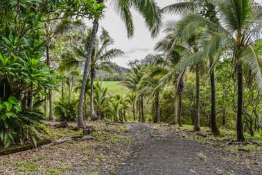 1707 Yakapari Seaforth Road Mount Jukes QLD 4740 - Image 1
