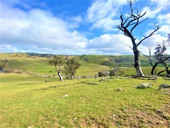 Lot 119/121 Blue Hill Road Taralga NSW 2580 - Image 1