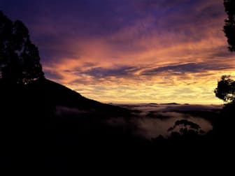 2252 Comboyne Road Killabakh NSW 2429 - Image 1