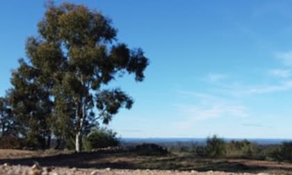 255 Willow Glen Road Lower Boro NSW 2580 - Image 2