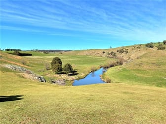 Lot 115/121 Blue Hill Road Taralga NSW 2580 - Image 3