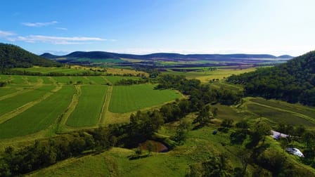 283 Waldron Road Forest Springs QLD 4362 - Image 1