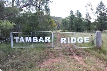 100 High Tambar Springs NSW 2381 - Image 1