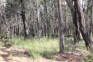 8576 Black Stump Way Tambar Springs NSW 2381 - Image 2