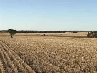 139 Willamulka Road, Willamulka Kadina SA 5554 - Image 1