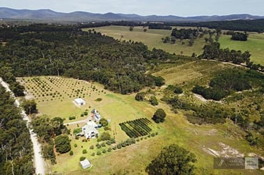 93 Quire Rd Buchan South VIC 3885 - Image 3
