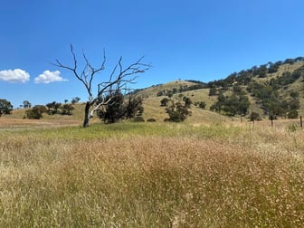 41/ Campbells Creek Road Mudgee NSW 2850 - Image 2
