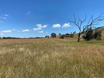 41/ Campbells Creek Road Mudgee NSW 2850 - Image 3