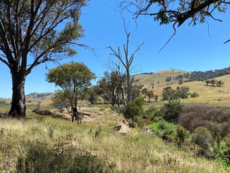 39/ Campbells Creek Road Mudgee NSW 2850 - Image 2