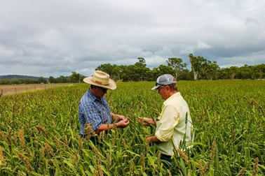 126 Fontainbleau Road Clifton QLD 4361 - Image 3