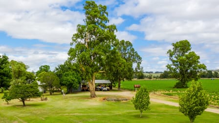 391 Spains Lane Quirindi NSW 2343 - Image 2