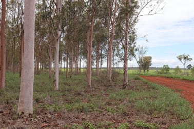 491 Sandows Road Binjour QLD 4625 - Image 3